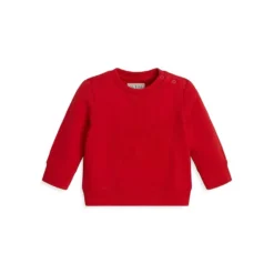 Guess Little Boy's Garment Dye Logo Embroidered Sweatshirt
