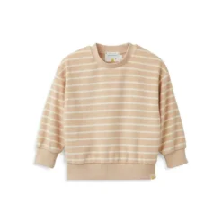 Baby's & Little Boy's Crewneck Sweatshirt