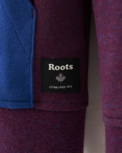 Boys Active Scuba Zip Hoodie -Apinxe Style https3A2F2Fwww.roots .com2Fdw2Fimage2Fv22FBGGS PRD2Fon2Fdemandware.static2F 2FSites roots master catalog2Fdefault2Fdwb5f4d6042Fimages2F29030325 DO1 f.jpg3Fsw3D120026sh3D120026sm3Dfit 640x